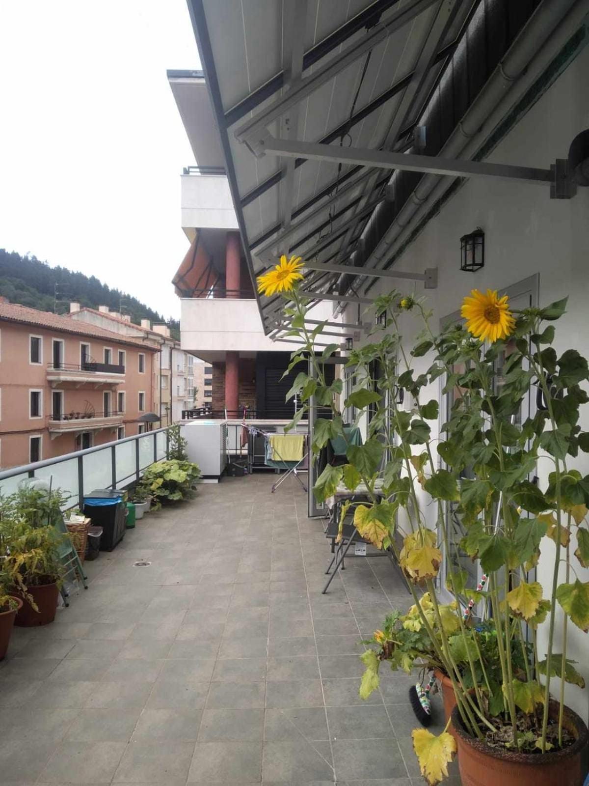 Aldabea II Apartamento Sostenible Legazpia 外观 照片